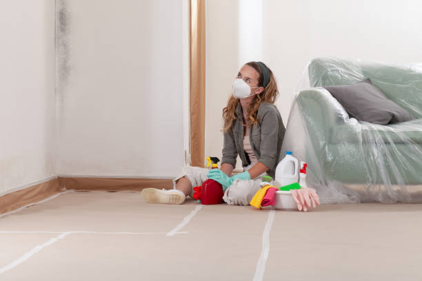 Trusted Mold Inspection service in Newmanstown, PA - WQB Mold Removal